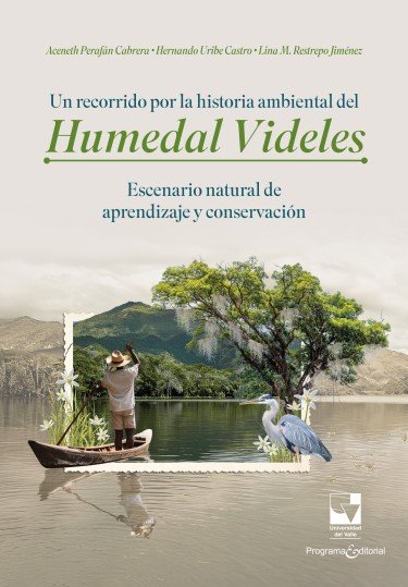  Un recorrido por la historia ambiental del humedal Videles: Escenario...